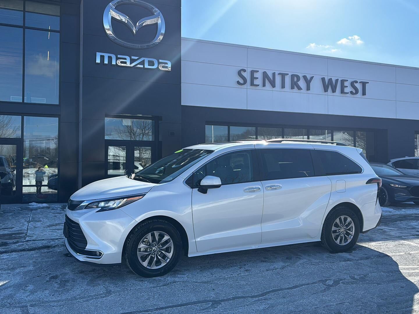 2023 TOYOTA Sienna