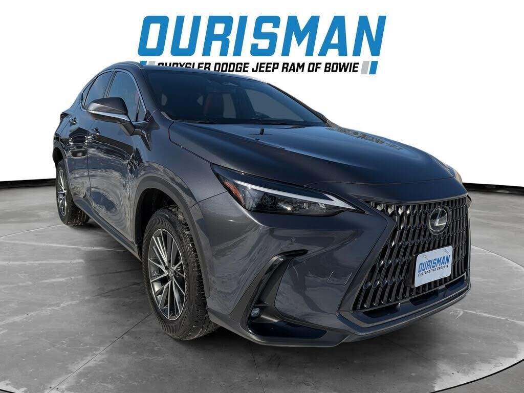 2024 LEXUS NX