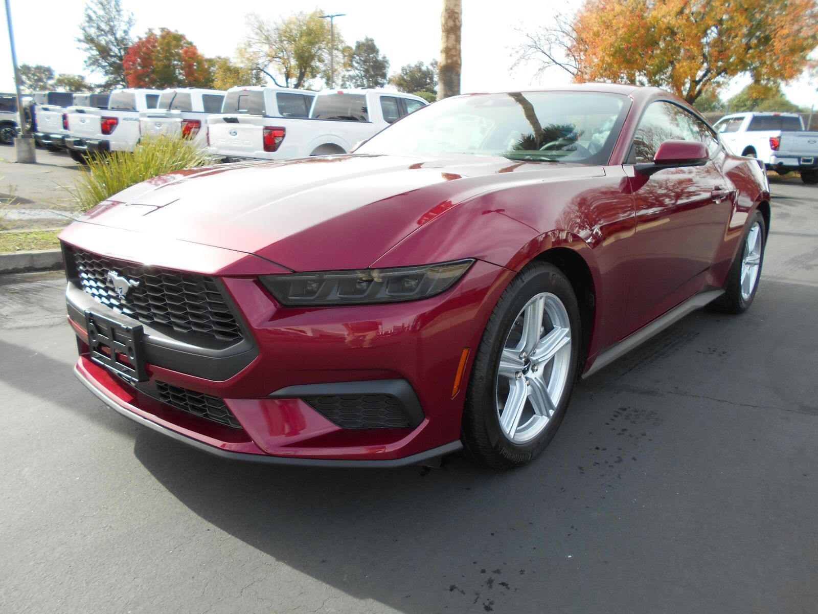 2026 FORD Mustang