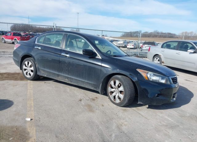 2010 HONDA Accord