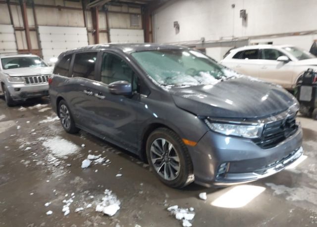 2023 HONDA Odyssey