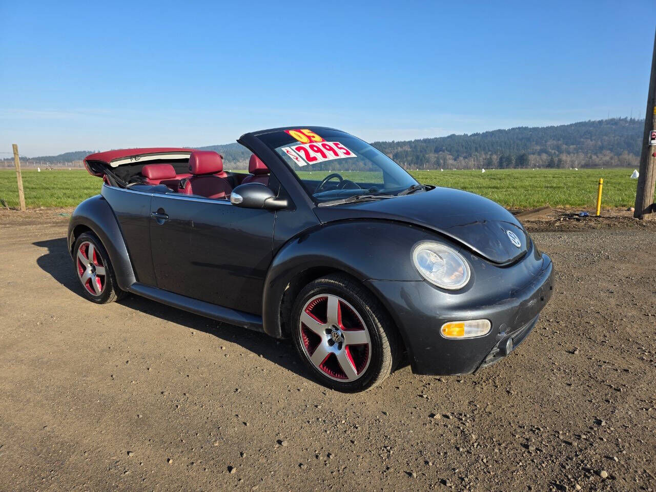 Volkswagen Beetle