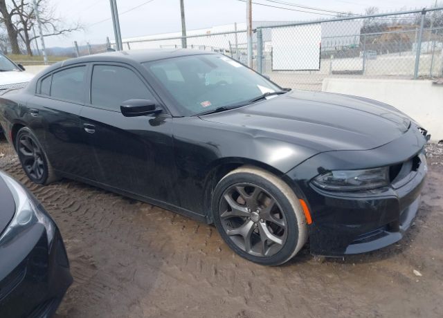2017 DODGE Charger