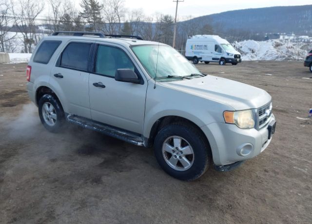 2009 FORD Escape