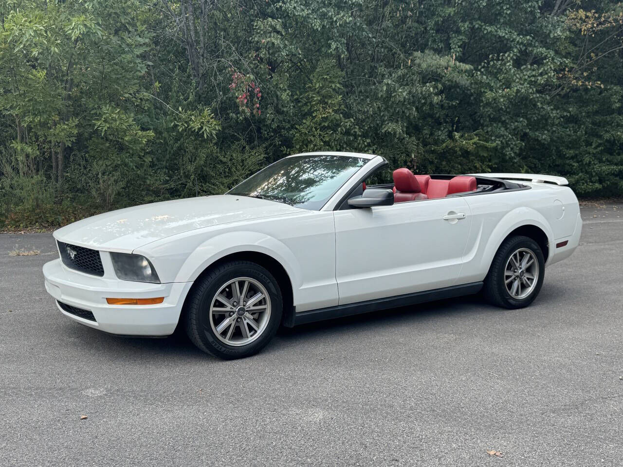 2005 FORD Mustang