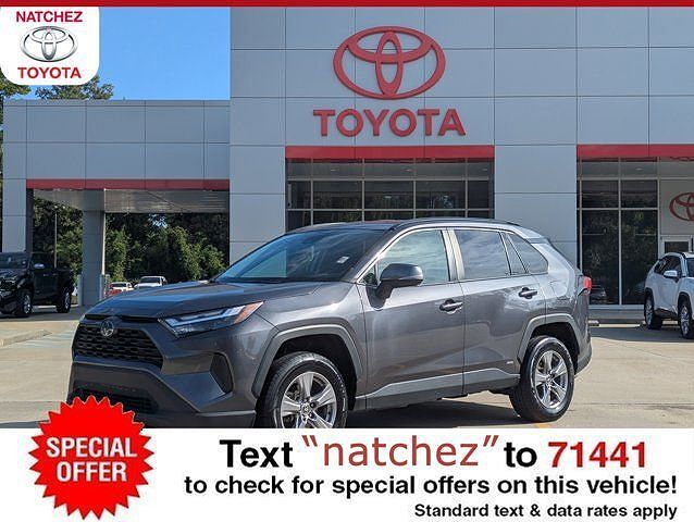2024 TOYOTA RAV4