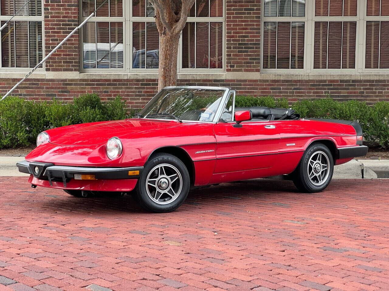 1986 ALFA ROMEO Spider