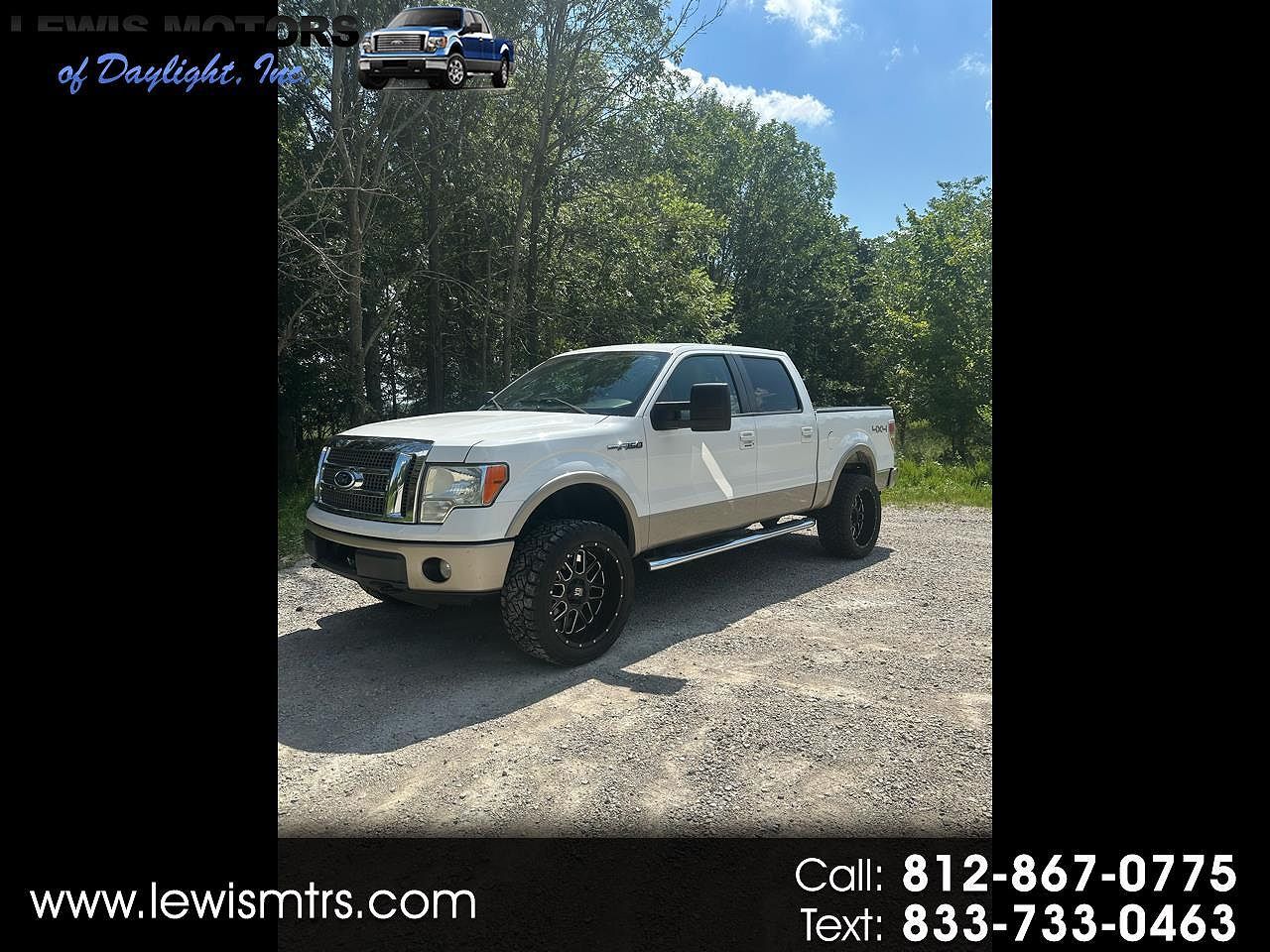 2010 FORD F-150