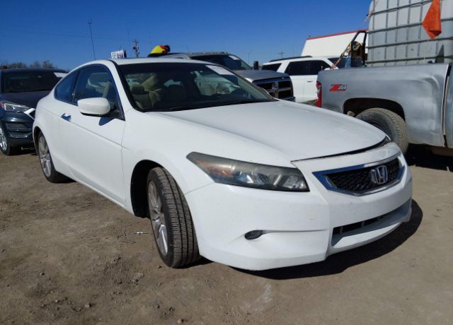 2008 HONDA Accord