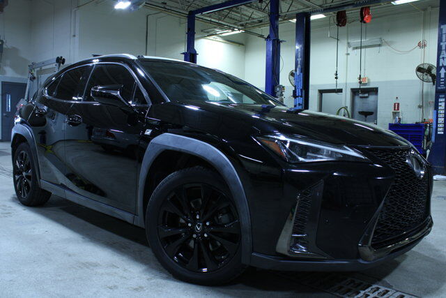 2019 LEXUS UX