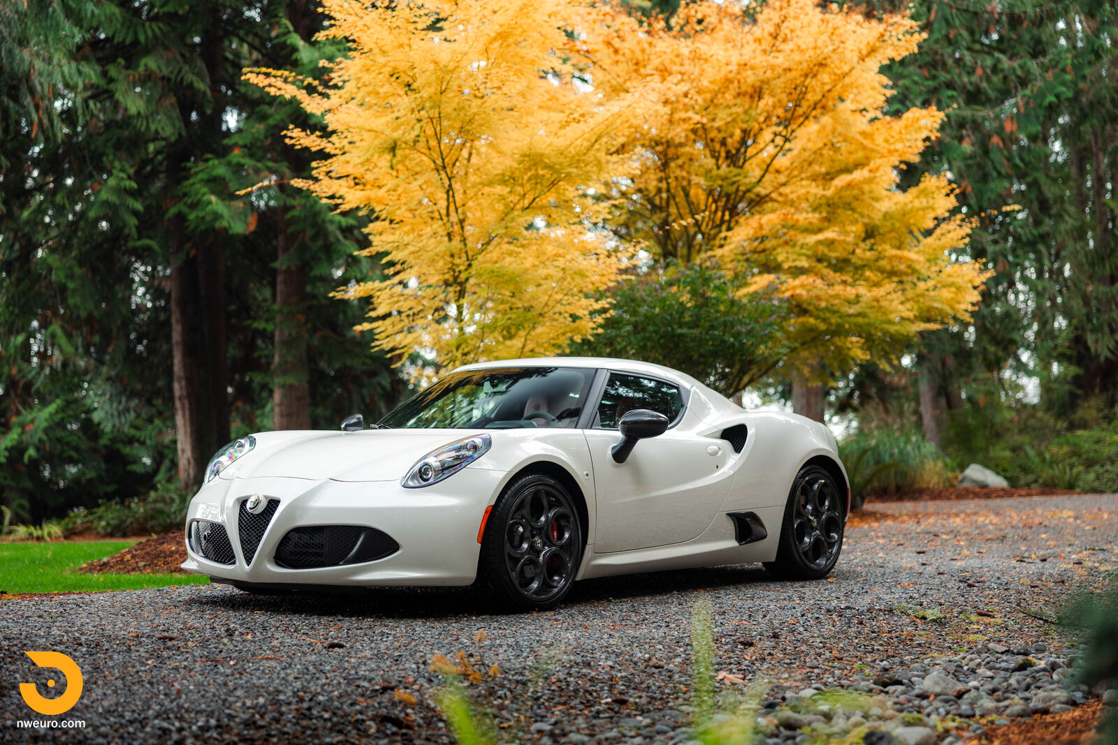 2015 ALFA ROMEO 4C
