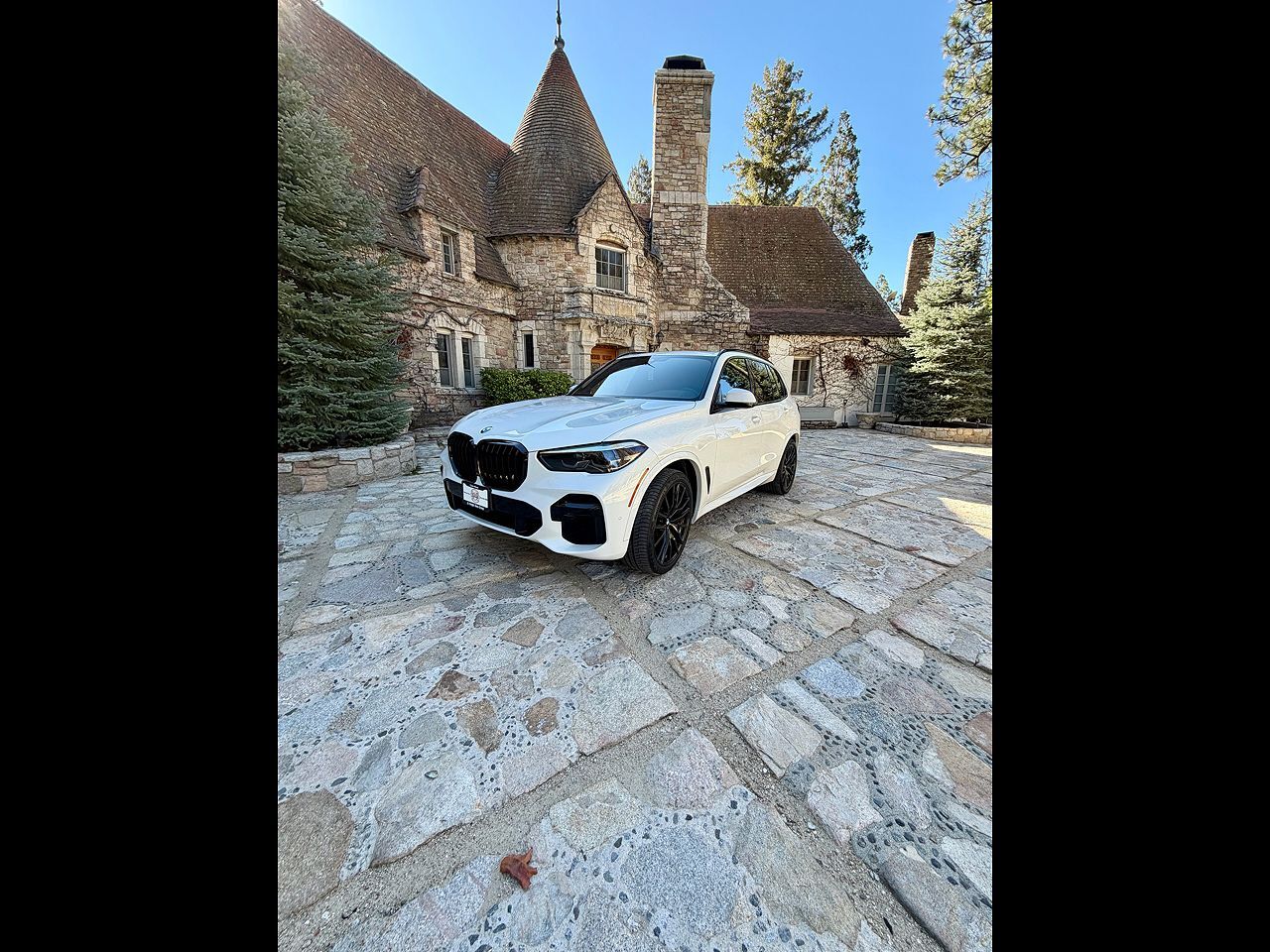 2022 BMW X5