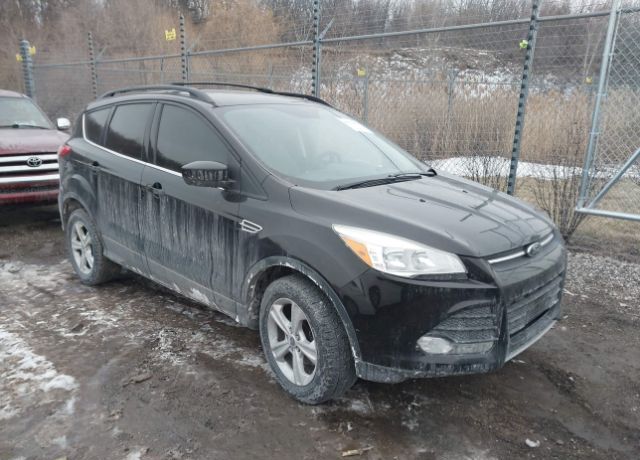 2013 FORD Escape