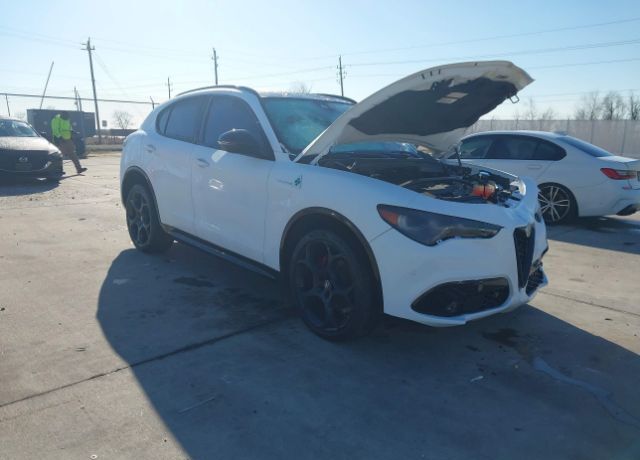 2024 ALFA ROMEO Stelvio
