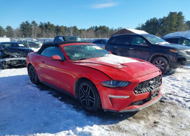 2019 FORD Mustang