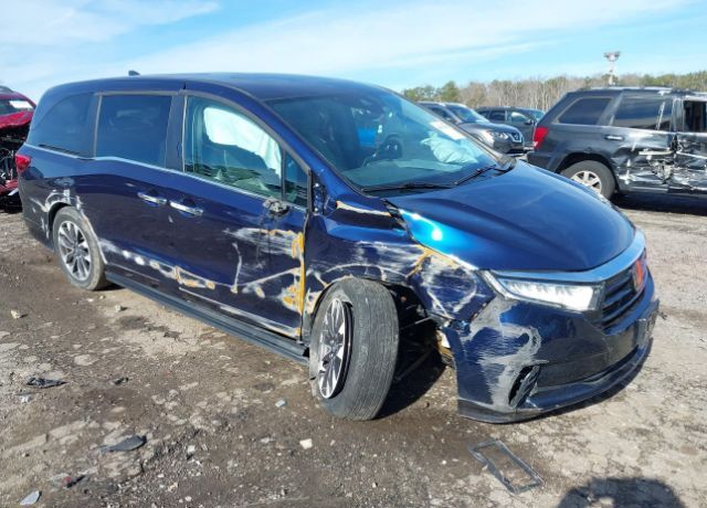 2023 HONDA Odyssey