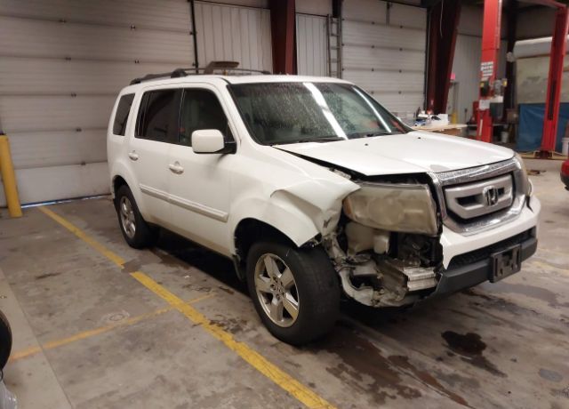 2011 HONDA Pilot