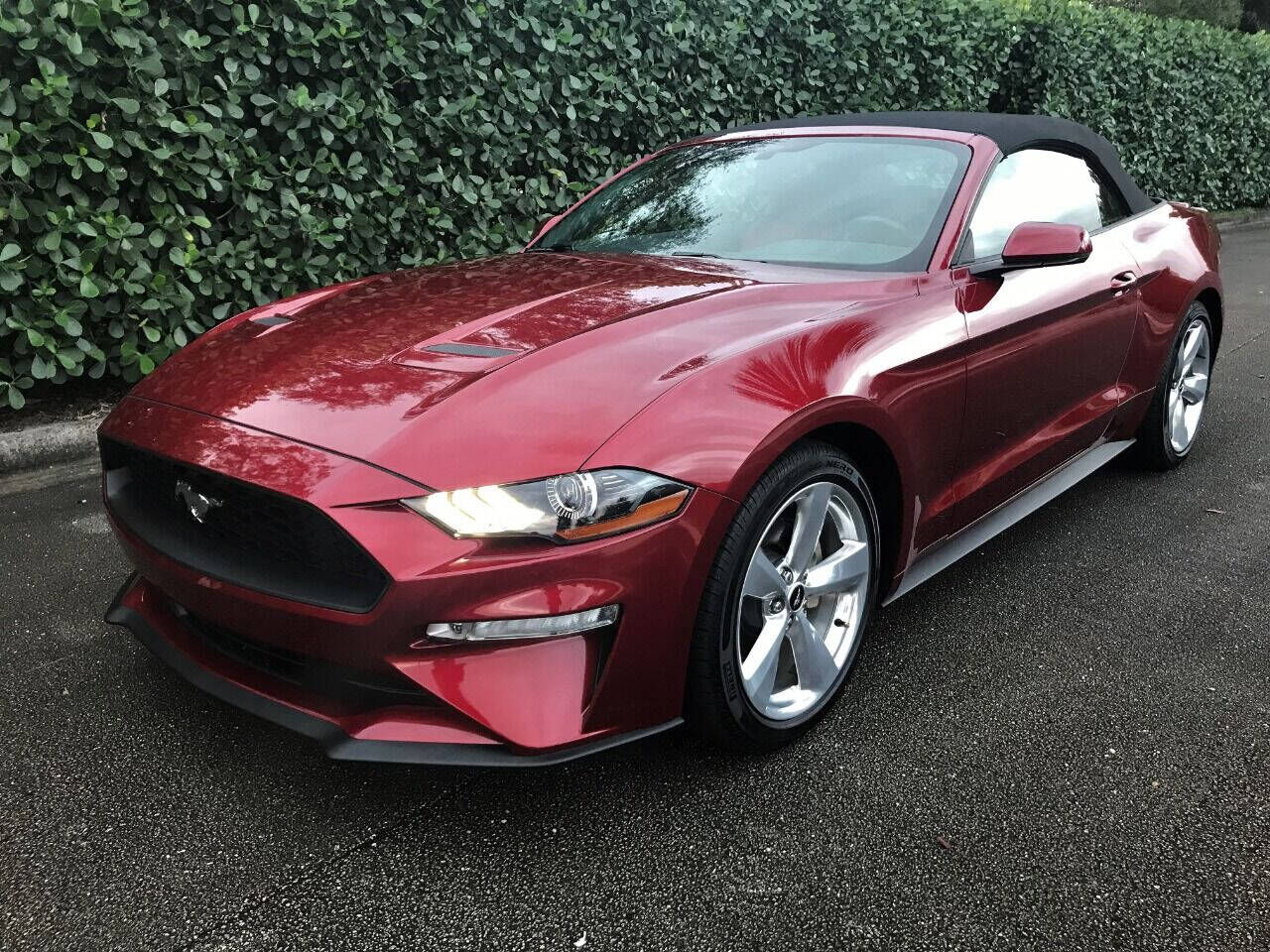 2019 FORD Mustang