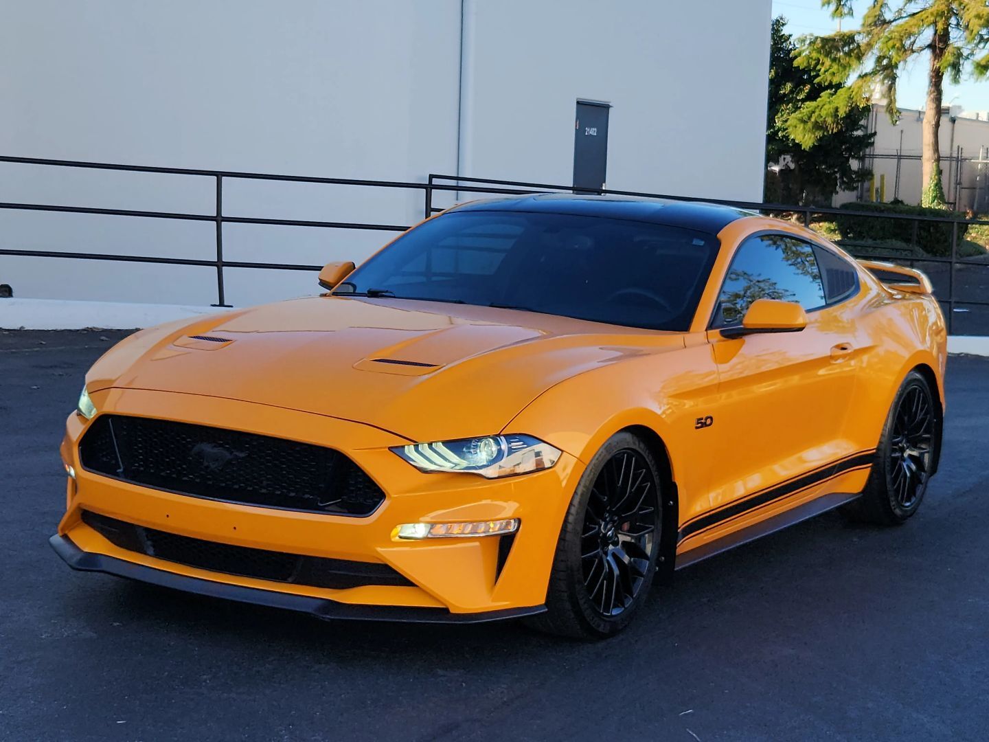 2019 FORD Mustang