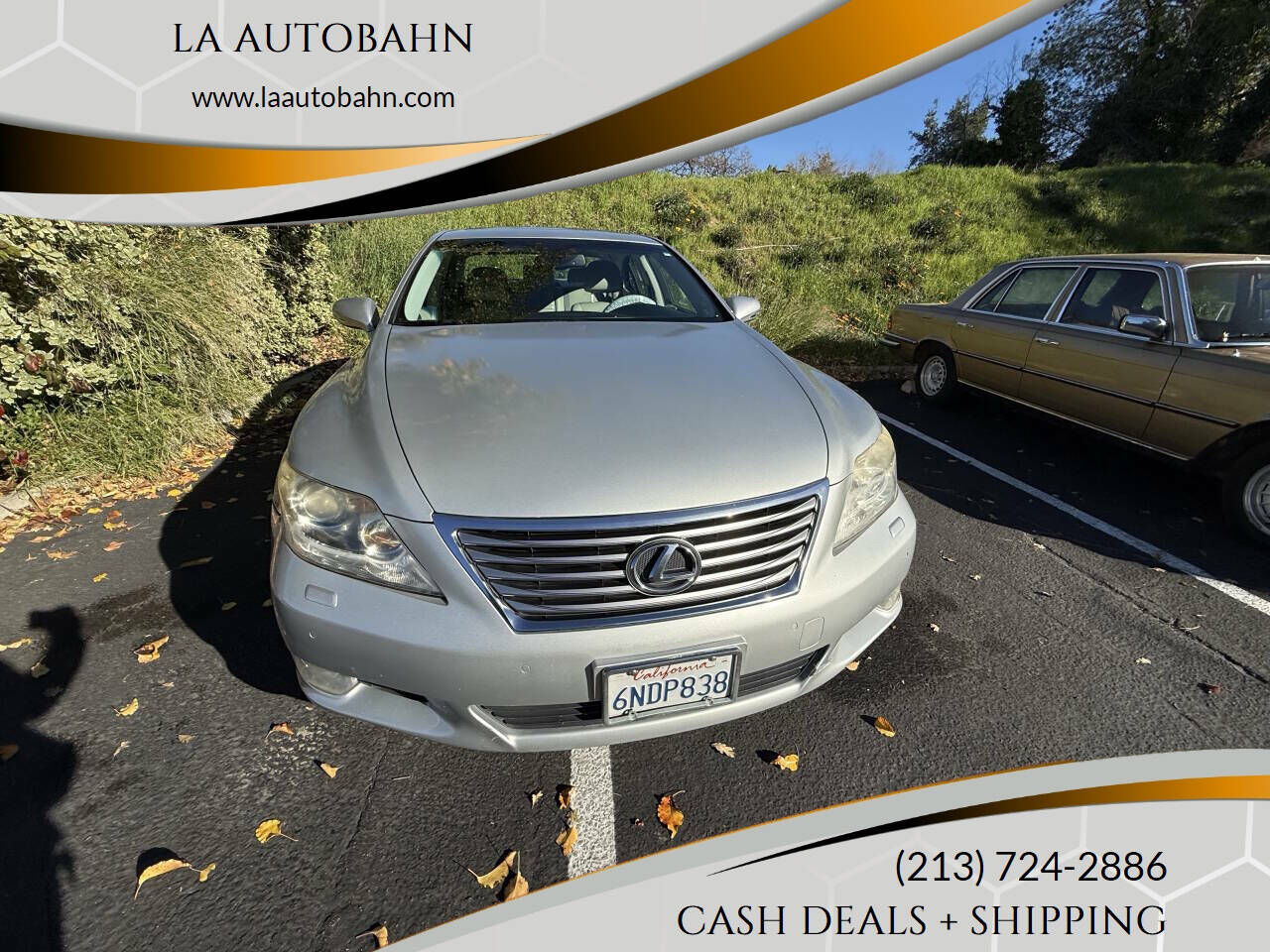 2010 LEXUS LS