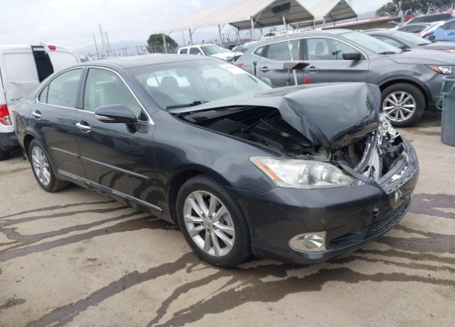 2010 LEXUS ES