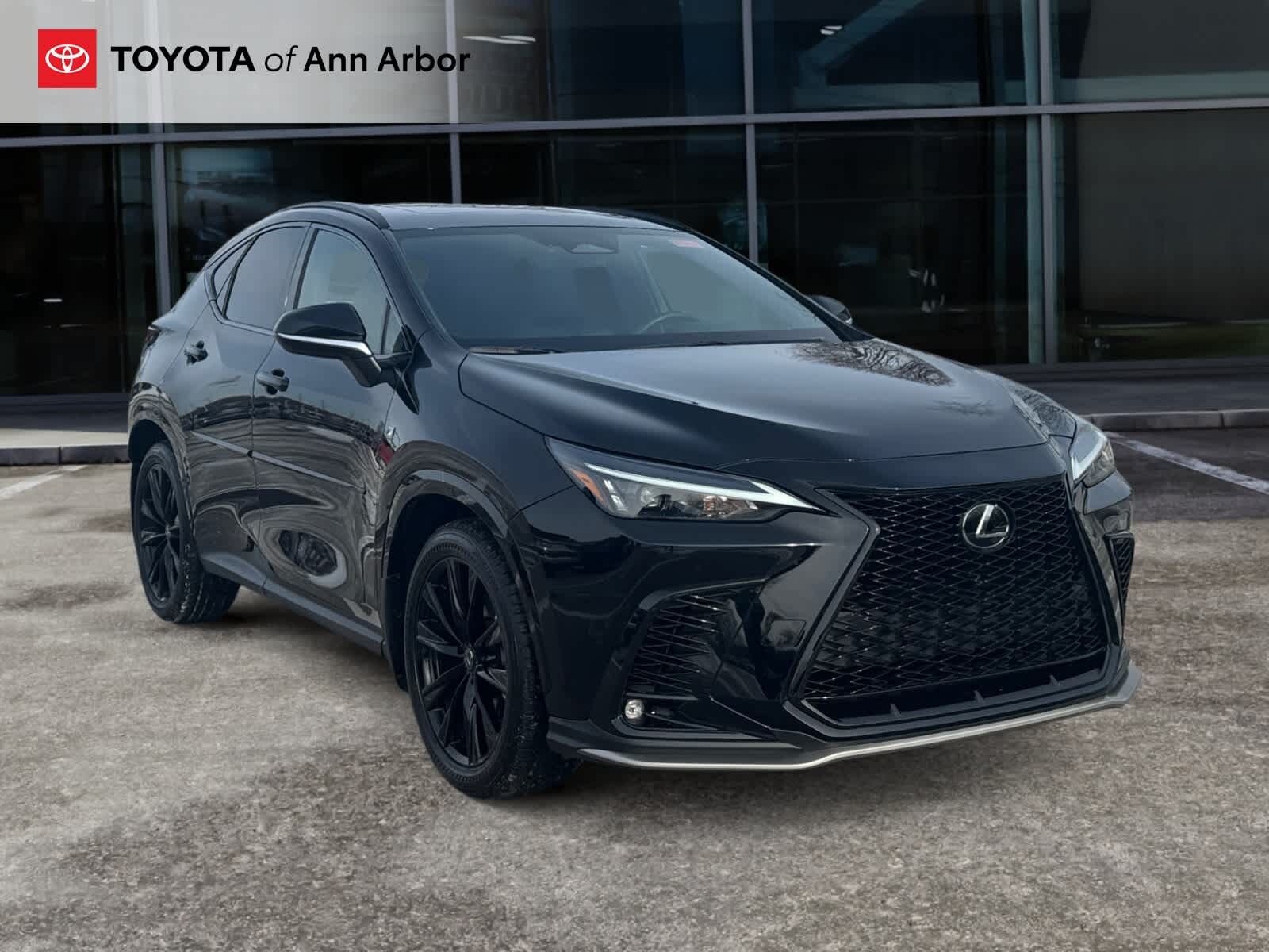 2024 LEXUS NX
