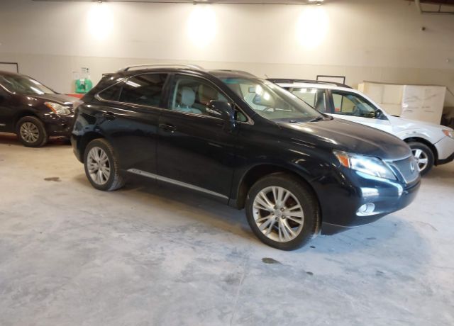 2010 LEXUS RX