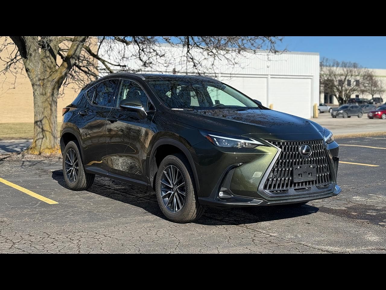 2025 LEXUS NX