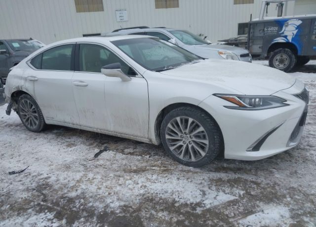 2019 LEXUS ES