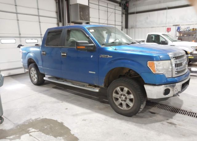 2013 FORD F-150
