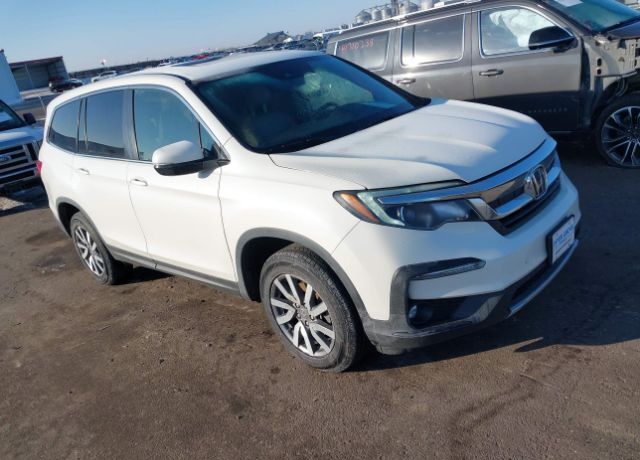 2019 HONDA Pilot