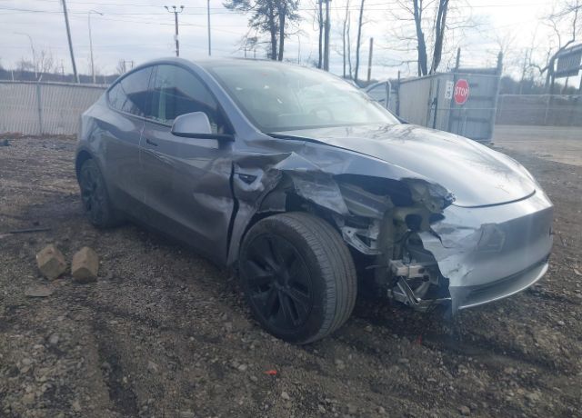 2024 TESLA Model Y