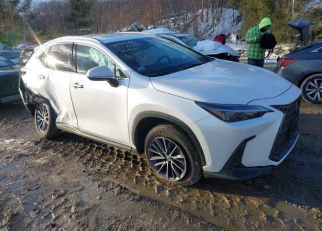 2025 LEXUS NX