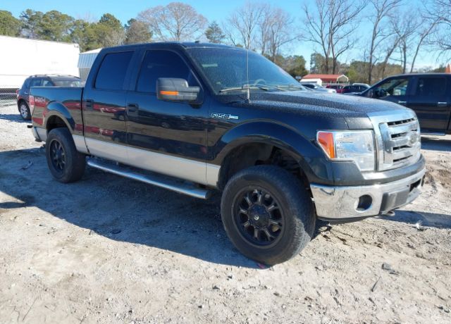 2010 FORD F-150