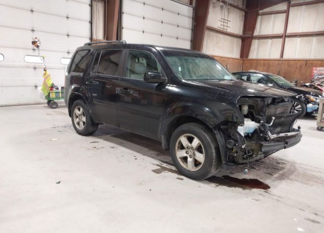 2010 HONDA Pilot