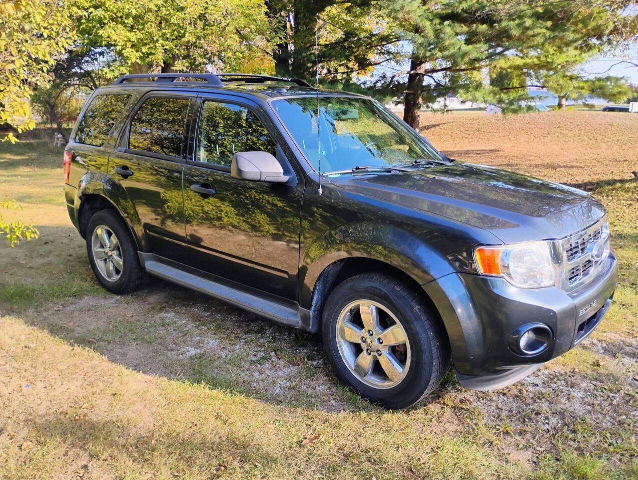 2009 FORD Escape