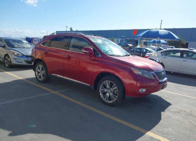 2012 LEXUS RX