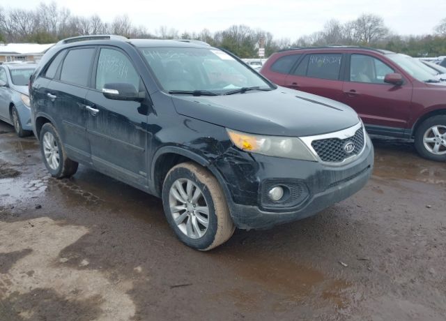 2011 KIA Sorento