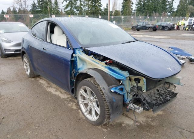 2024 TESLA Model Y