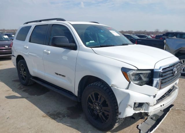 2019 TOYOTA Sequoia