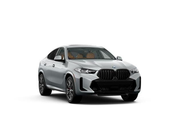 2026 BMW X6