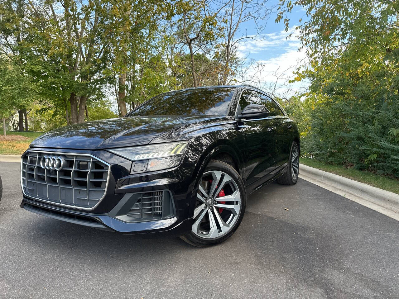 2019 AUDI Q8