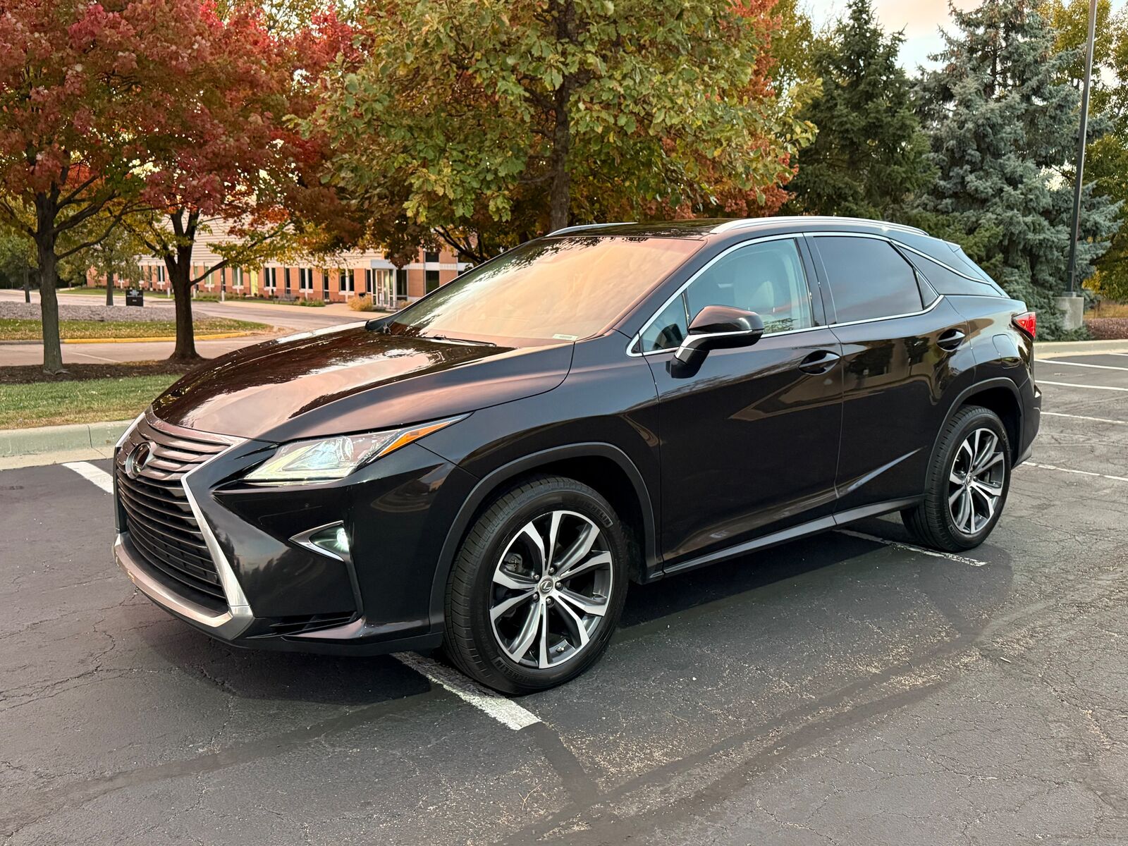 2017 LEXUS RX