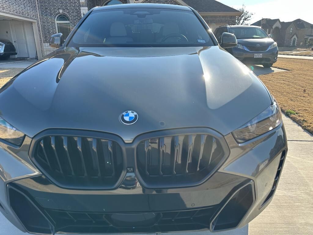 2024 BMW X6