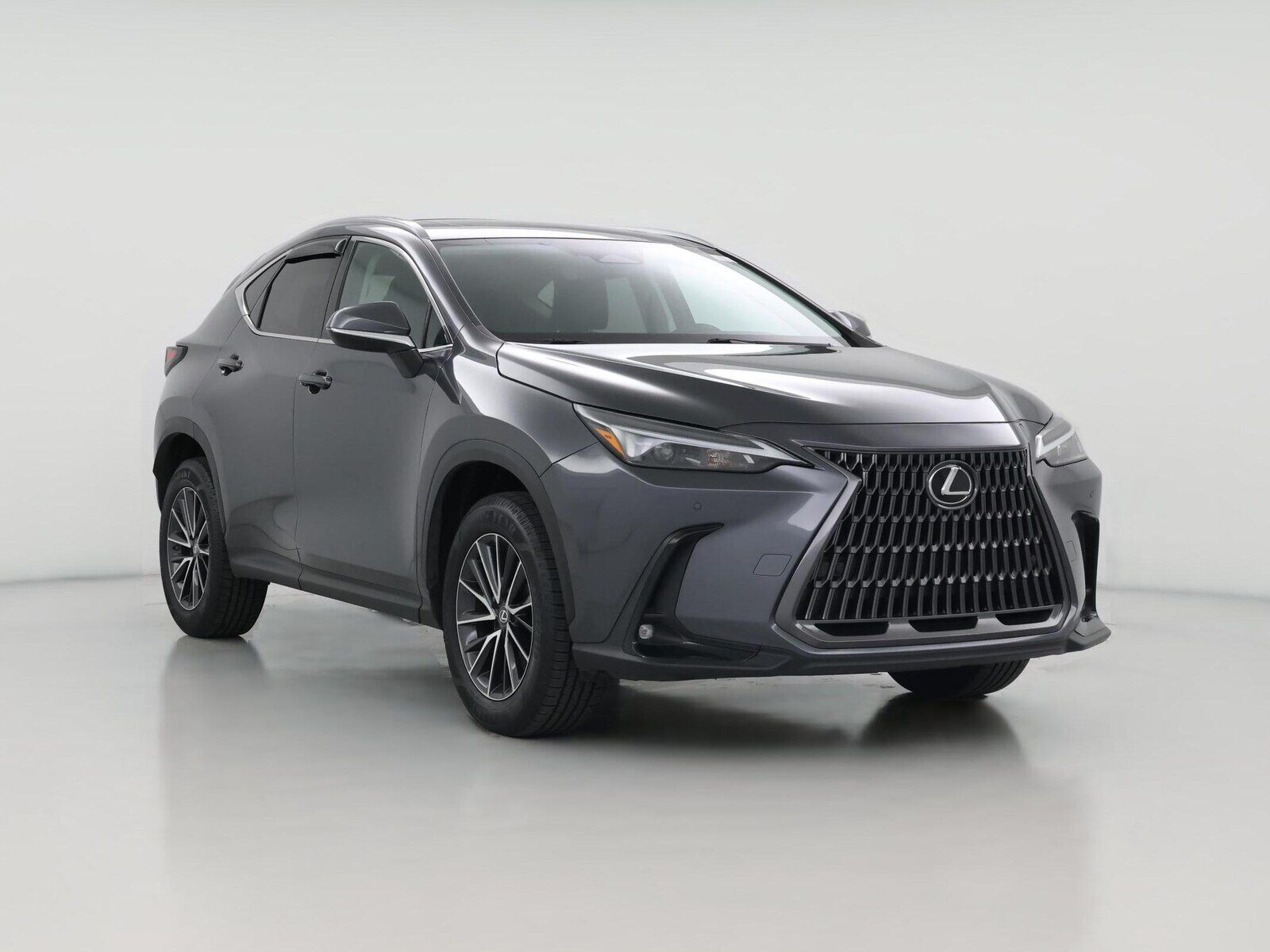 2024 LEXUS NX