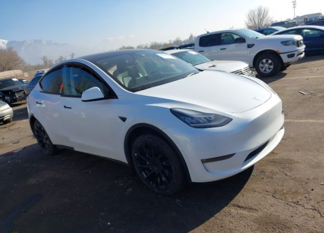 2022 TESLA Model Y