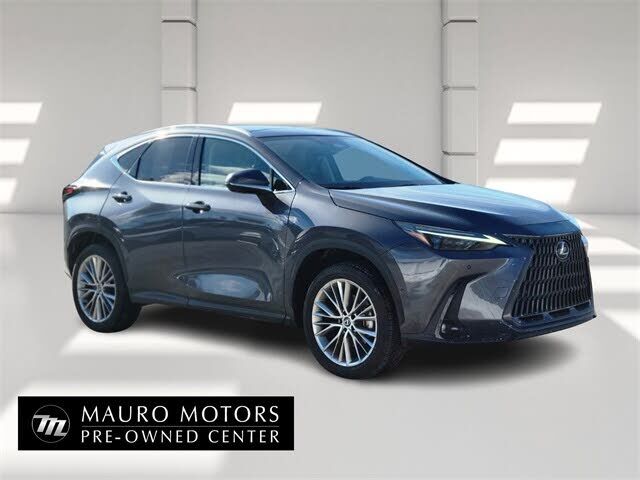 2025 LEXUS NX