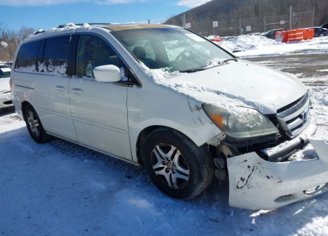2005 HONDA Odyssey