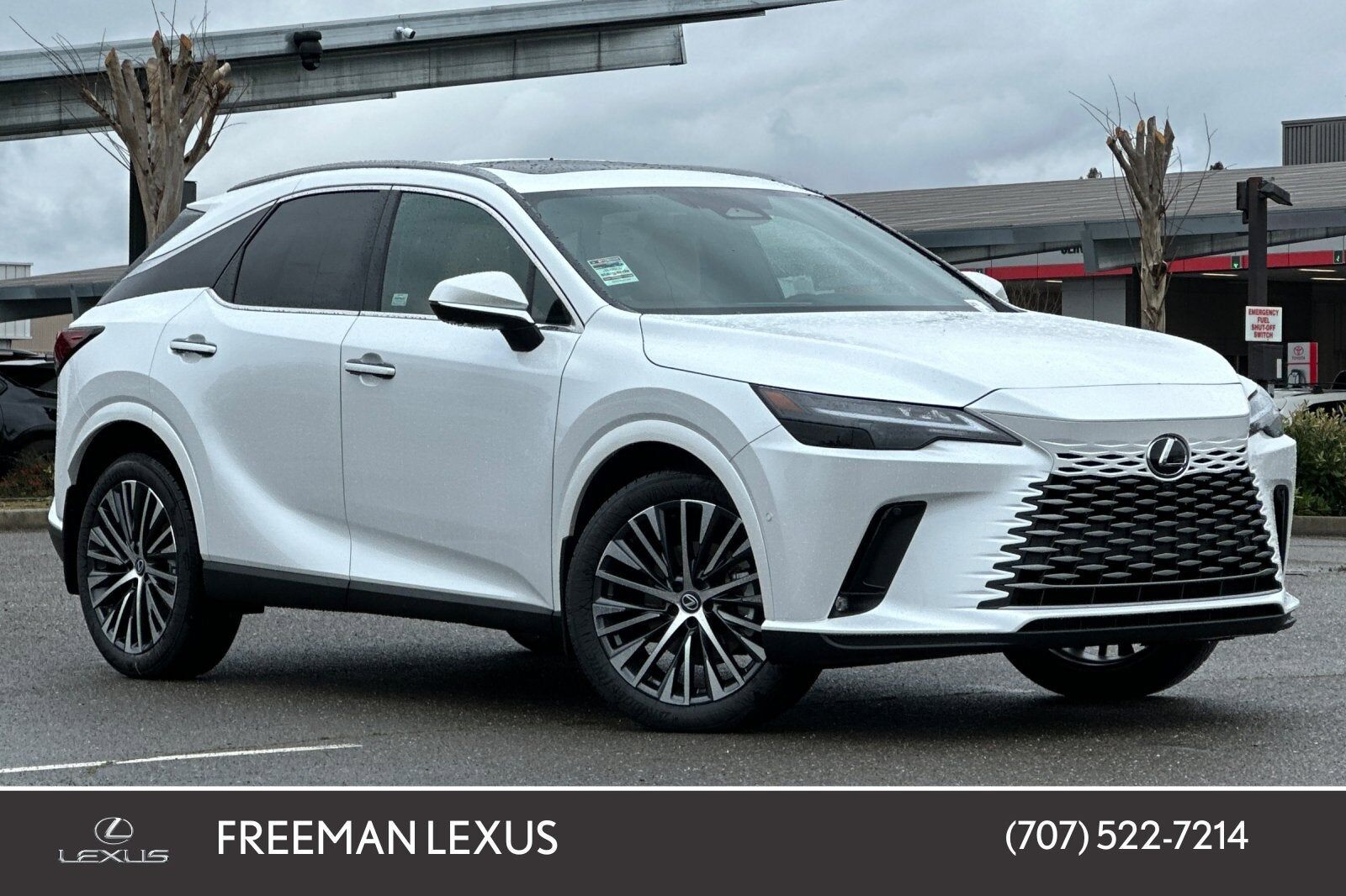 2026 LEXUS RX