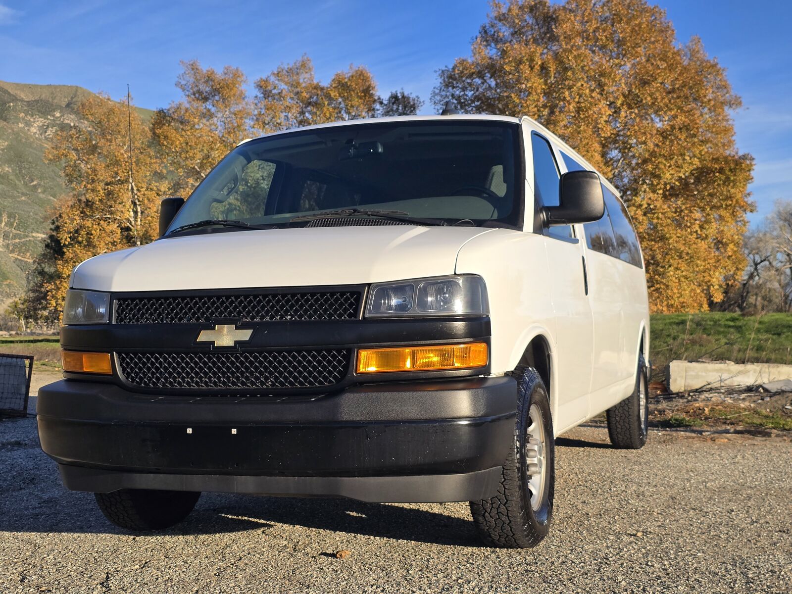 2020 CHEVROLET Express